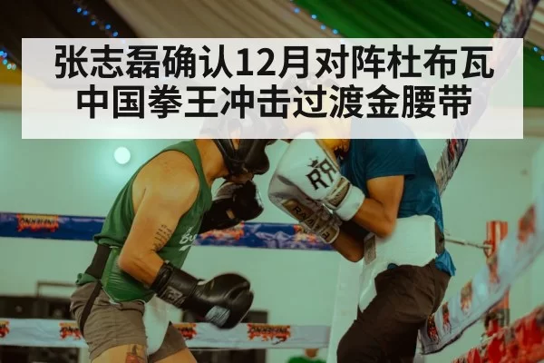 Zhang Zhilei boxing