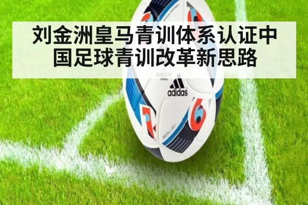 刘金洲皇马青训体系认证中国足球青训改革新思路